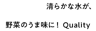清らかな水が、野菜のうま味に！　Quality
